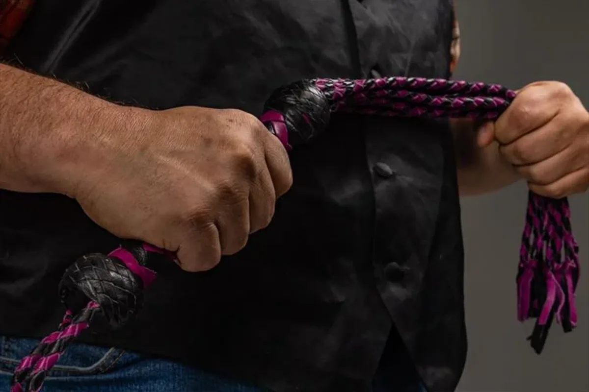 Características dos Dildos BDSM